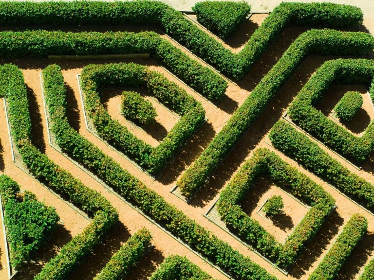 Comment tailler vos haies comme un pro ? Méthodes et astuces efficaces