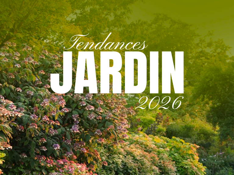 Les tendances jardin en 2026 à ne pas louper !
